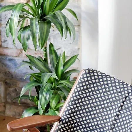 Volta 38 Vendégház 3*