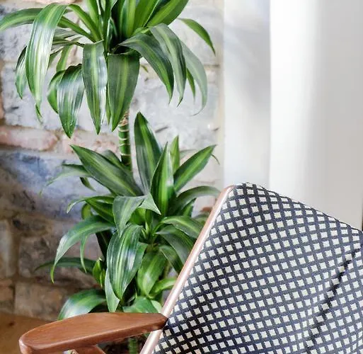 Volta 38 בית הארחה 3*